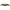 Norman Fancy lugs