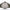 Timex Expedition Scout T49961