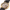 Hamilton Samson