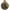 Hamilton Traffic Special 1950