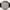 Tissot Seastar Seven 44521-5