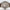 Laco Aachen Taupe 42 862117