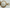 Antique 6 Size Elgin Scalloped Mechanical Hunter Pocket Watch 117 Gold Filled