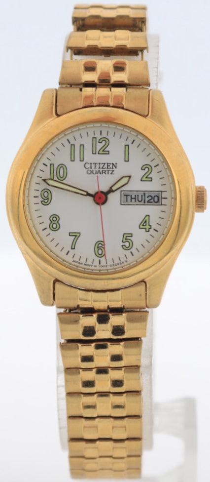 Citizen Day Date 1002-D22934