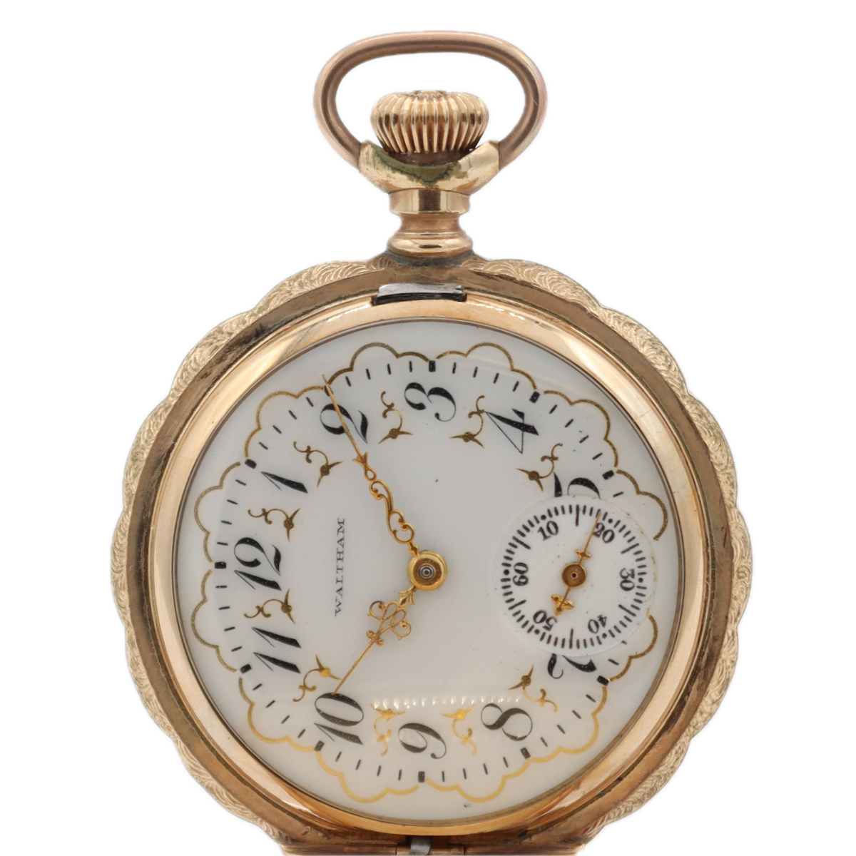 Waltham Scalloped Multicolor 1904