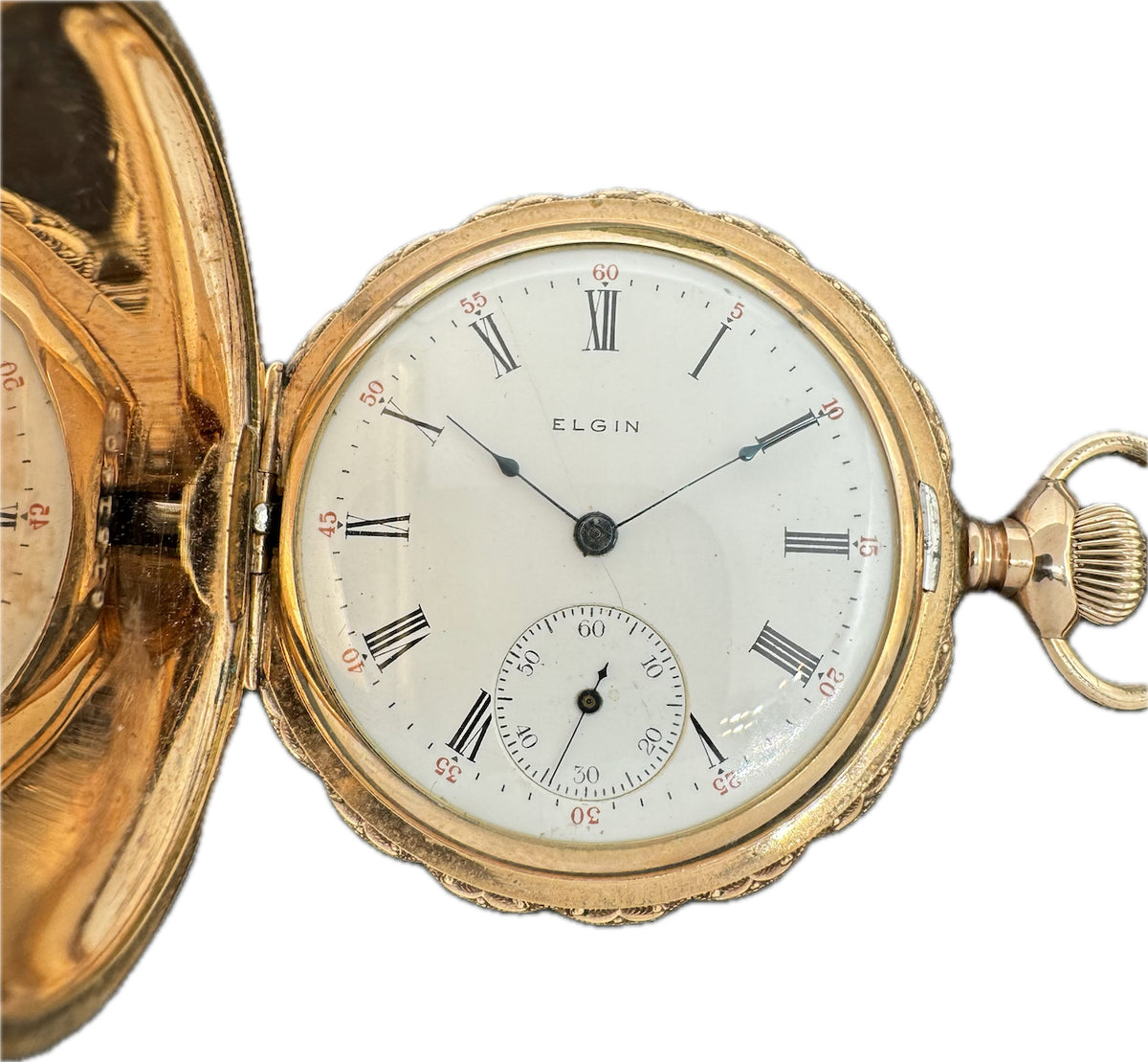 Elgin Scalloped