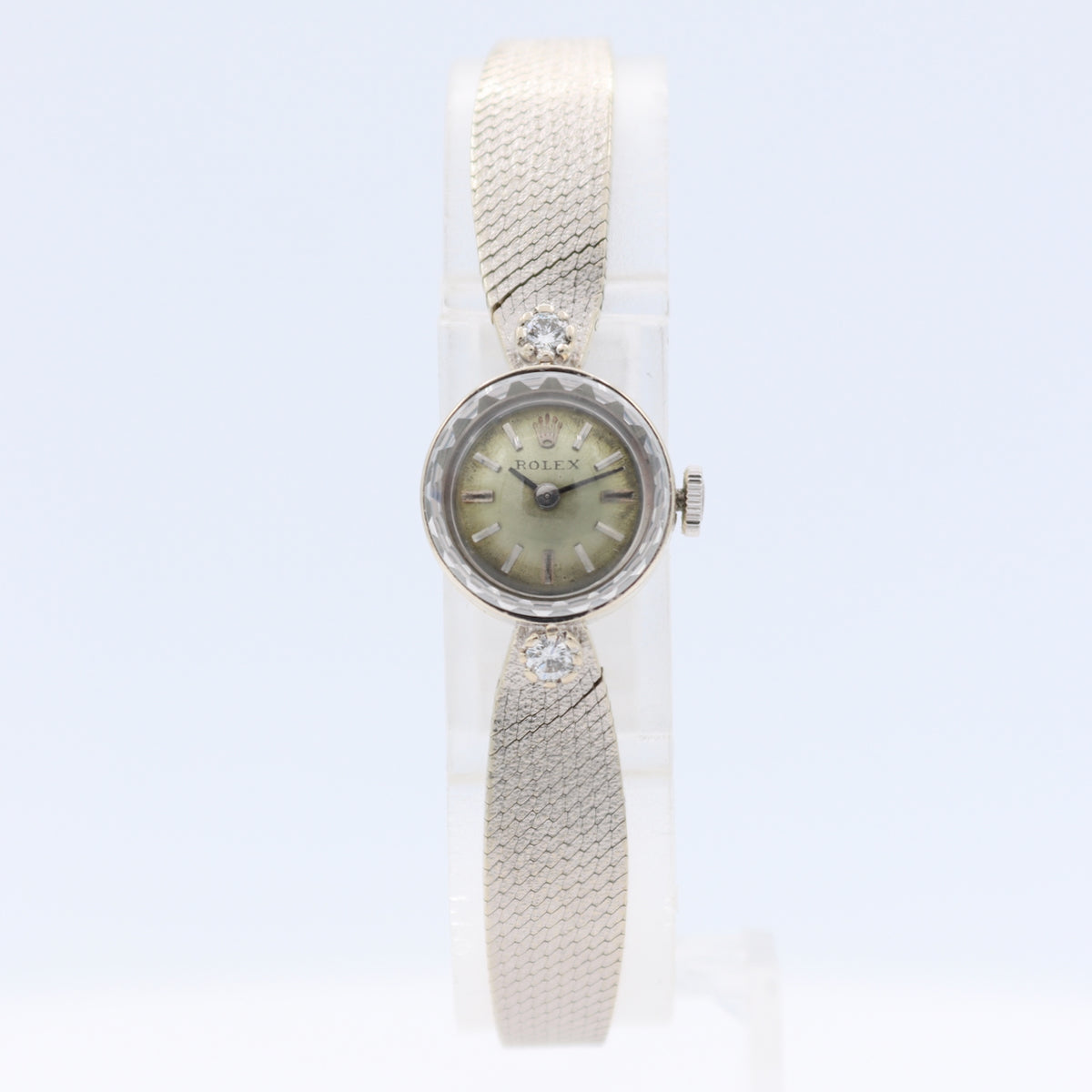 Rolex Orchid