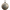 J. Barbey Shield