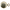 E. H. N.