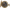 Omega Snail Cam