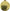 Wittnauer Geneve Date