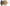 Waltham 1885