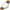 Wittnauer