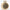 Hamilton 1950