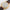 Seiko SQ Dress 7N43-8A10