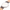 Wittnauer