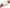 Elgin