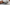 Simpl Compass Light Camel R170899