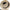 Elgin Rabbit Dog Back