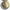 E. H. N.
