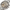 Zodiac Panda 734 713