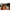 Bulova Latin Grammy Millennia 96A336