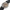 Wittnauer