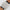 Lassale Lassale Two Tone 9550-5419