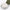 CWC Military Pilot 1973