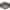 Seiko 