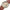 Rolex Oyster Perpetual 6634 – photo 4